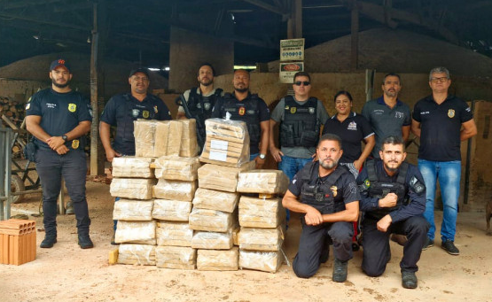 Polícia Civil do Tocantins incinera cerca de 400 kg de maconha e gera prejuízo de R$ 1 milhão ao crime organizado